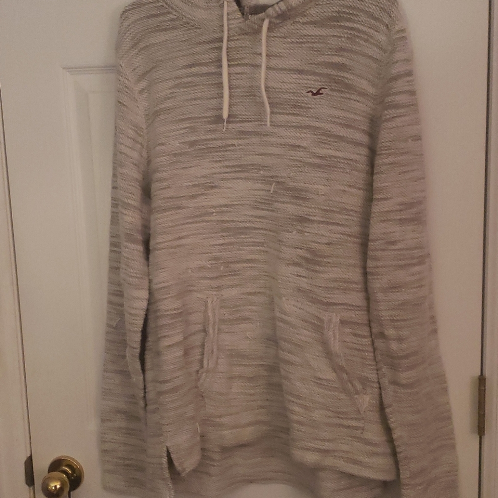 Mens Hollister Hoodie